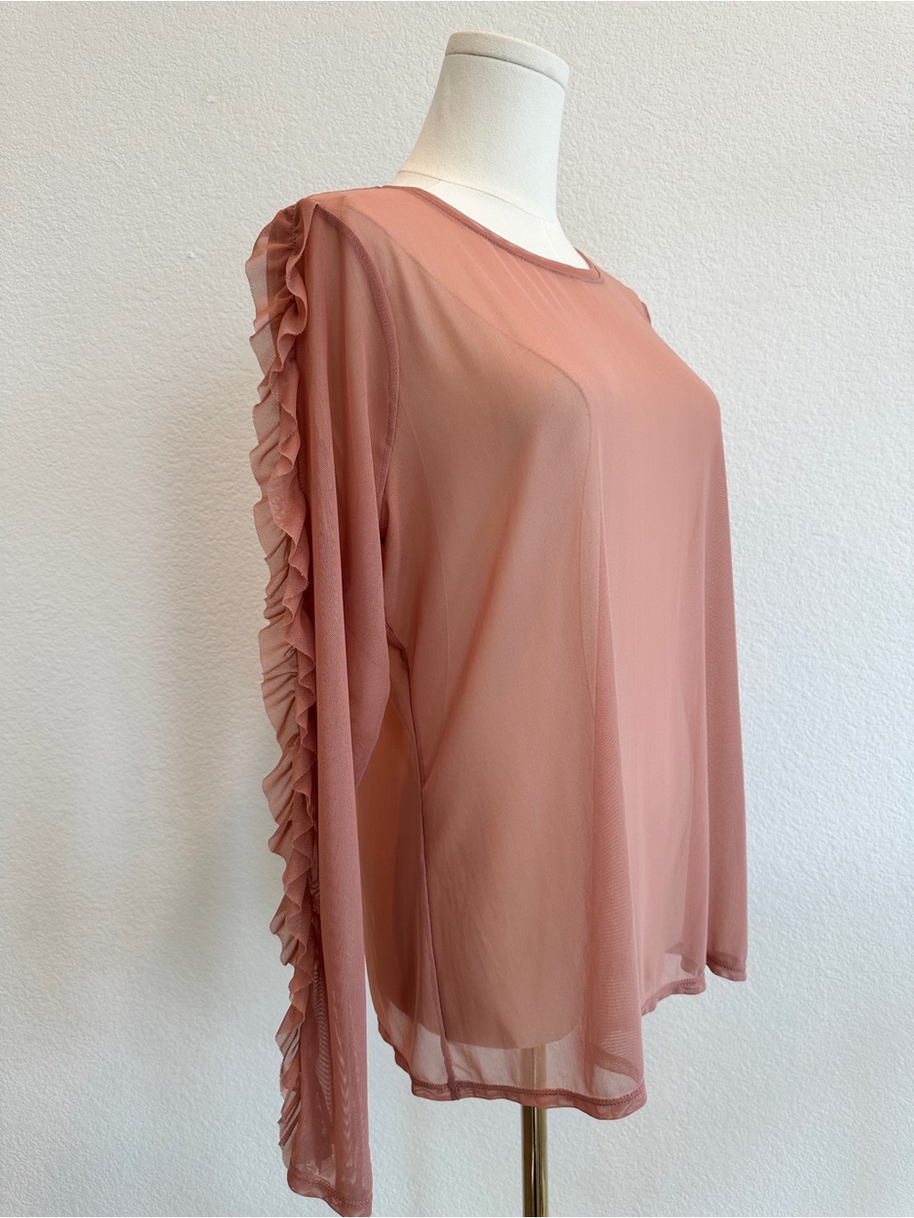 Express Dusty Blush Sheer Mesh Ruffle Sleeve Top NWOT Size Large